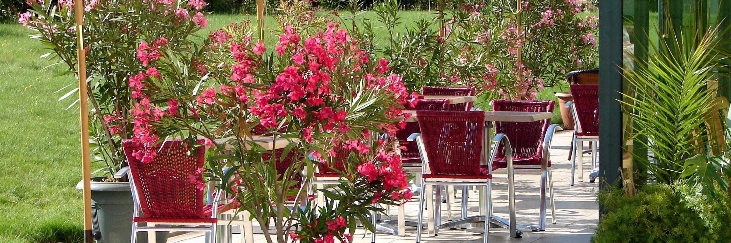 photo logis hotel