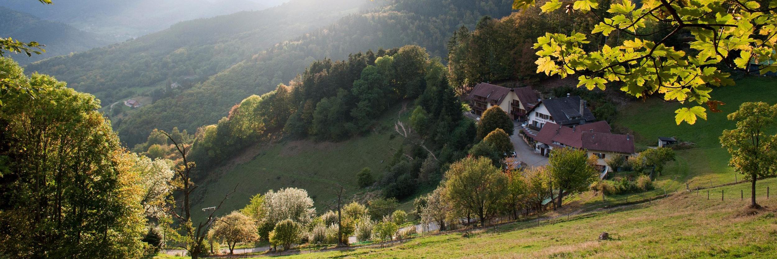 photo logis hotel