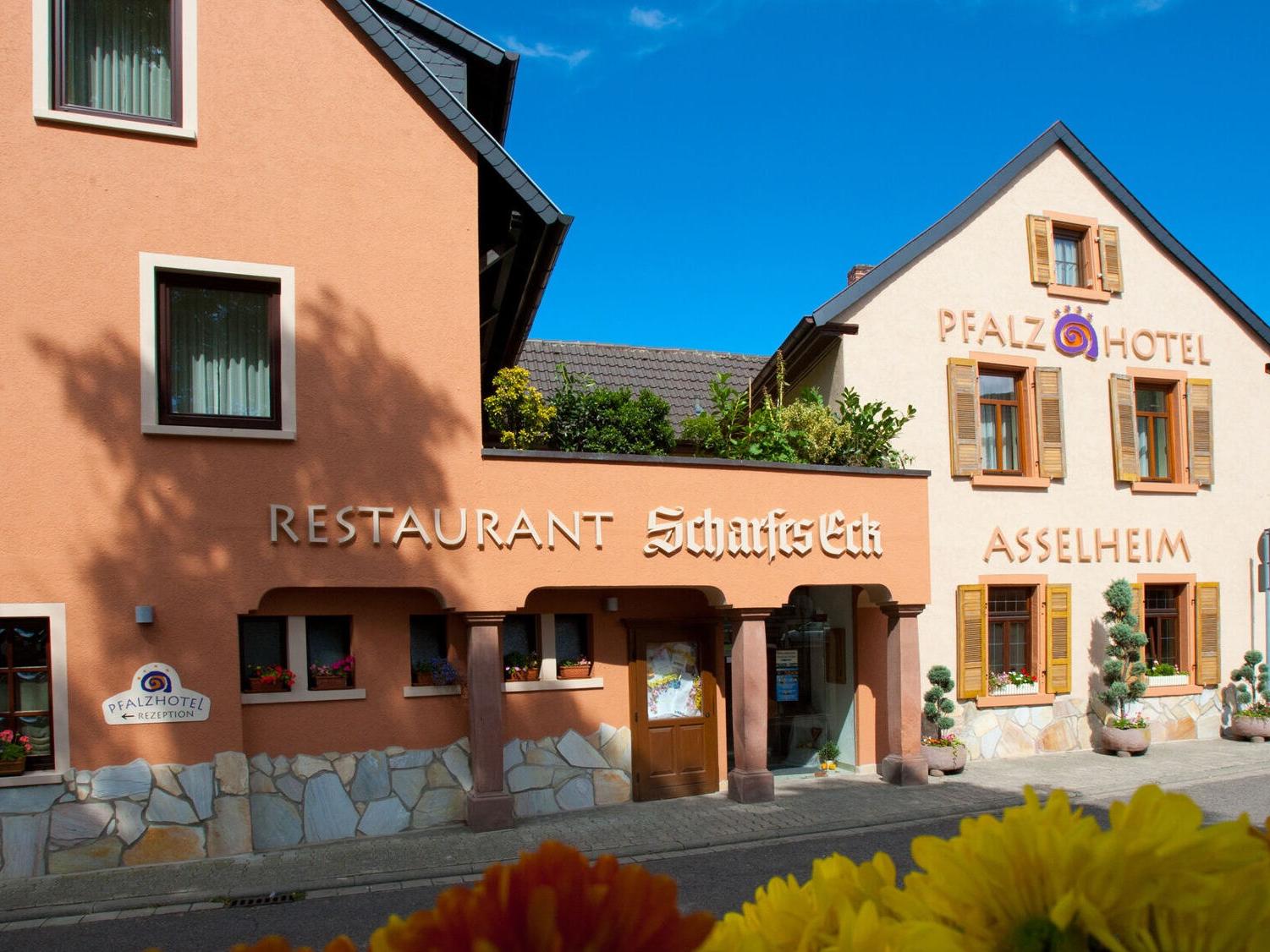 //medias.logishotels.com/property-images/176467/facade/retro/grand/pfalzhotel-asselheim-facade-grunstadt-497470.jpg