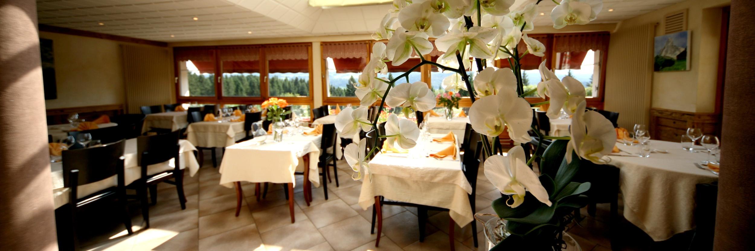photo logis hotel