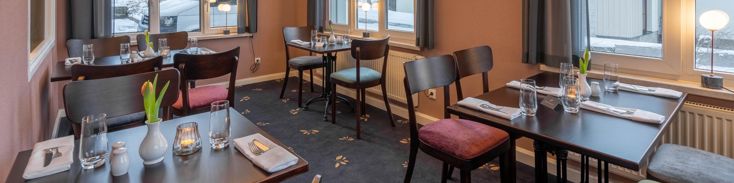photo logis hotel