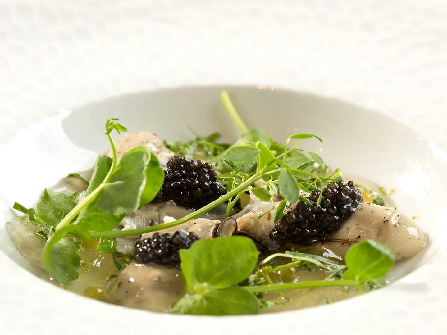 Teritoria Hôtel l\'Esplanade