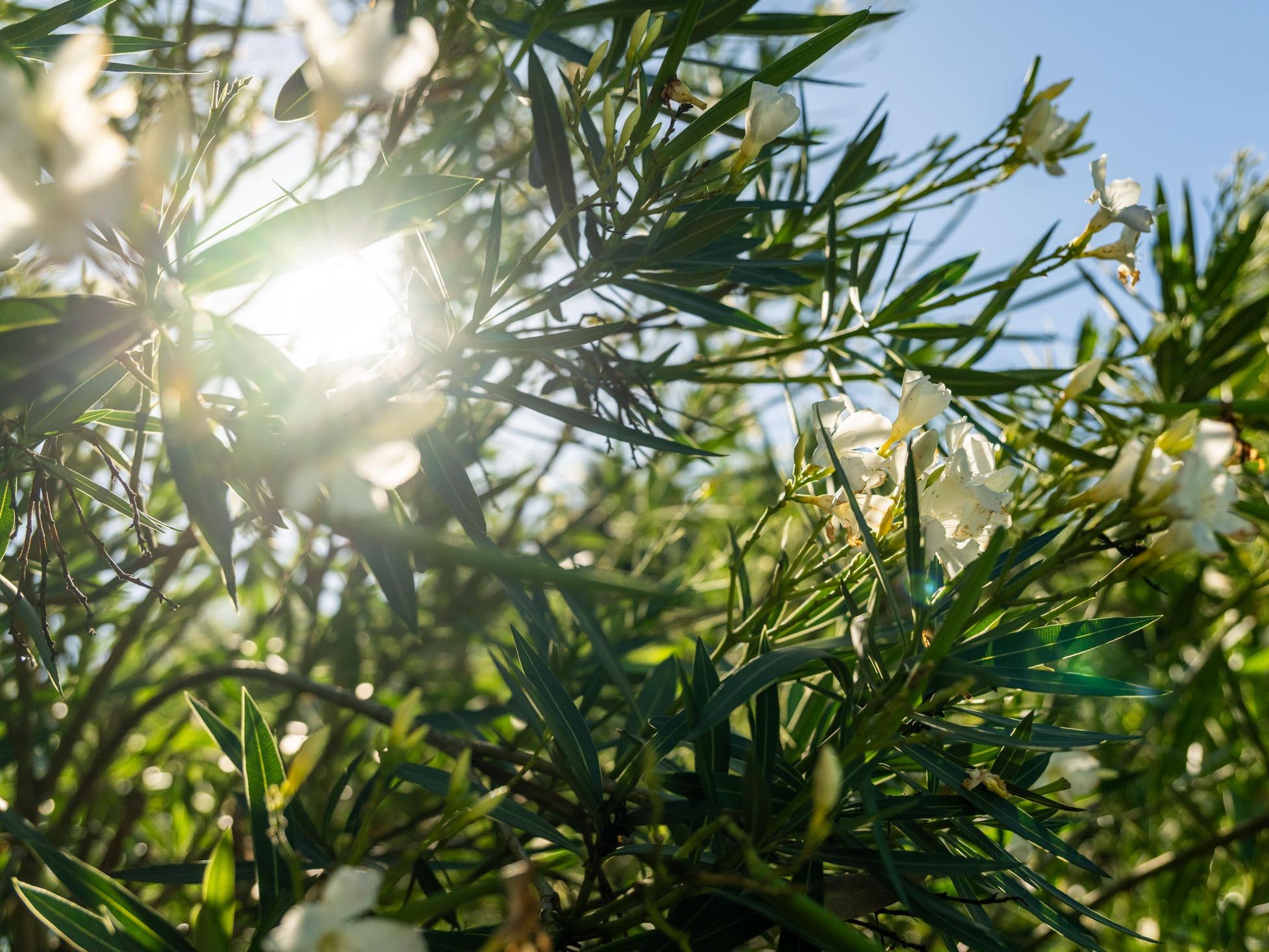 Logis Hôtel des 3 Massifs