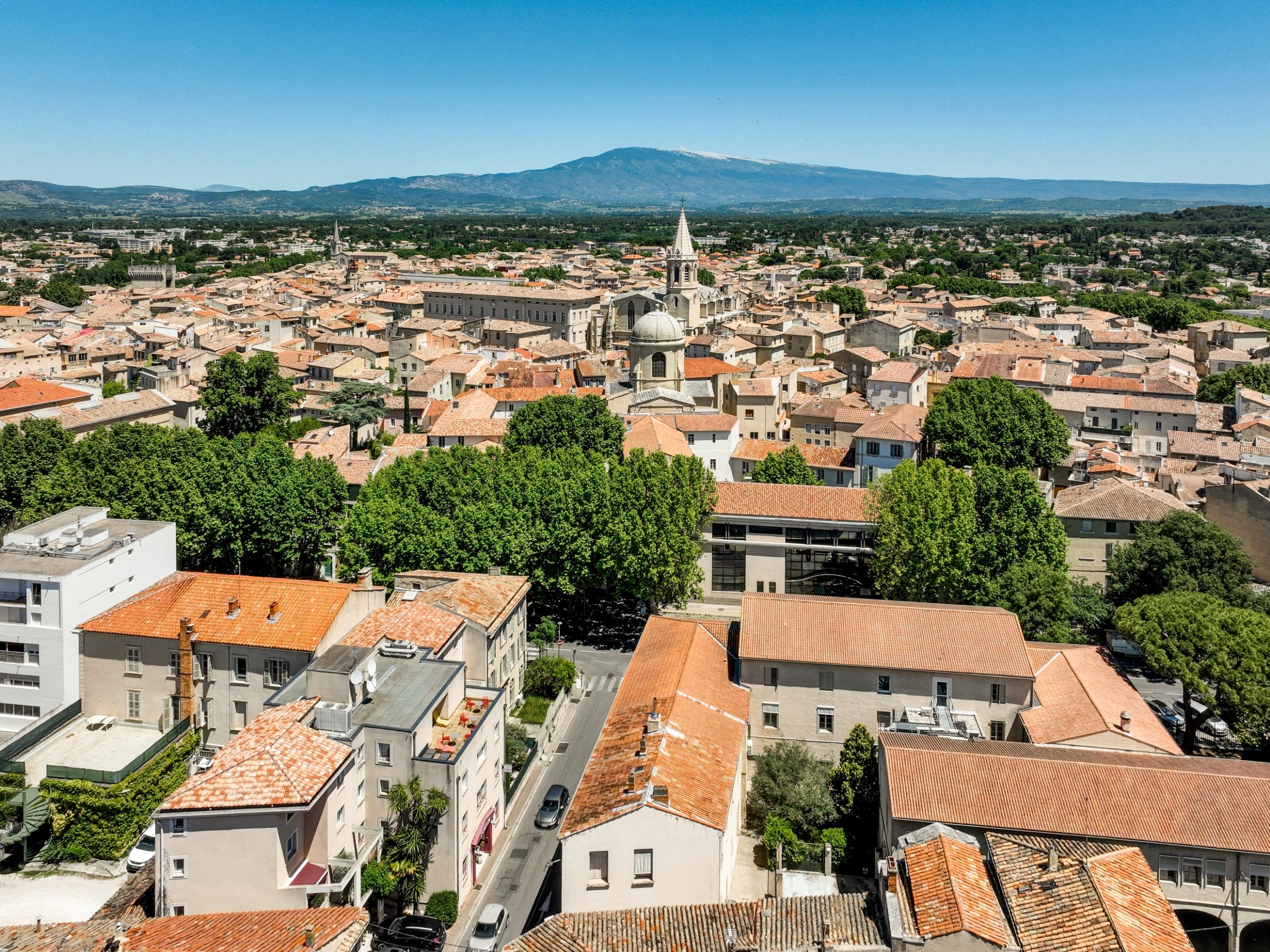 Urban Style Hôtel Blason du Ventoux