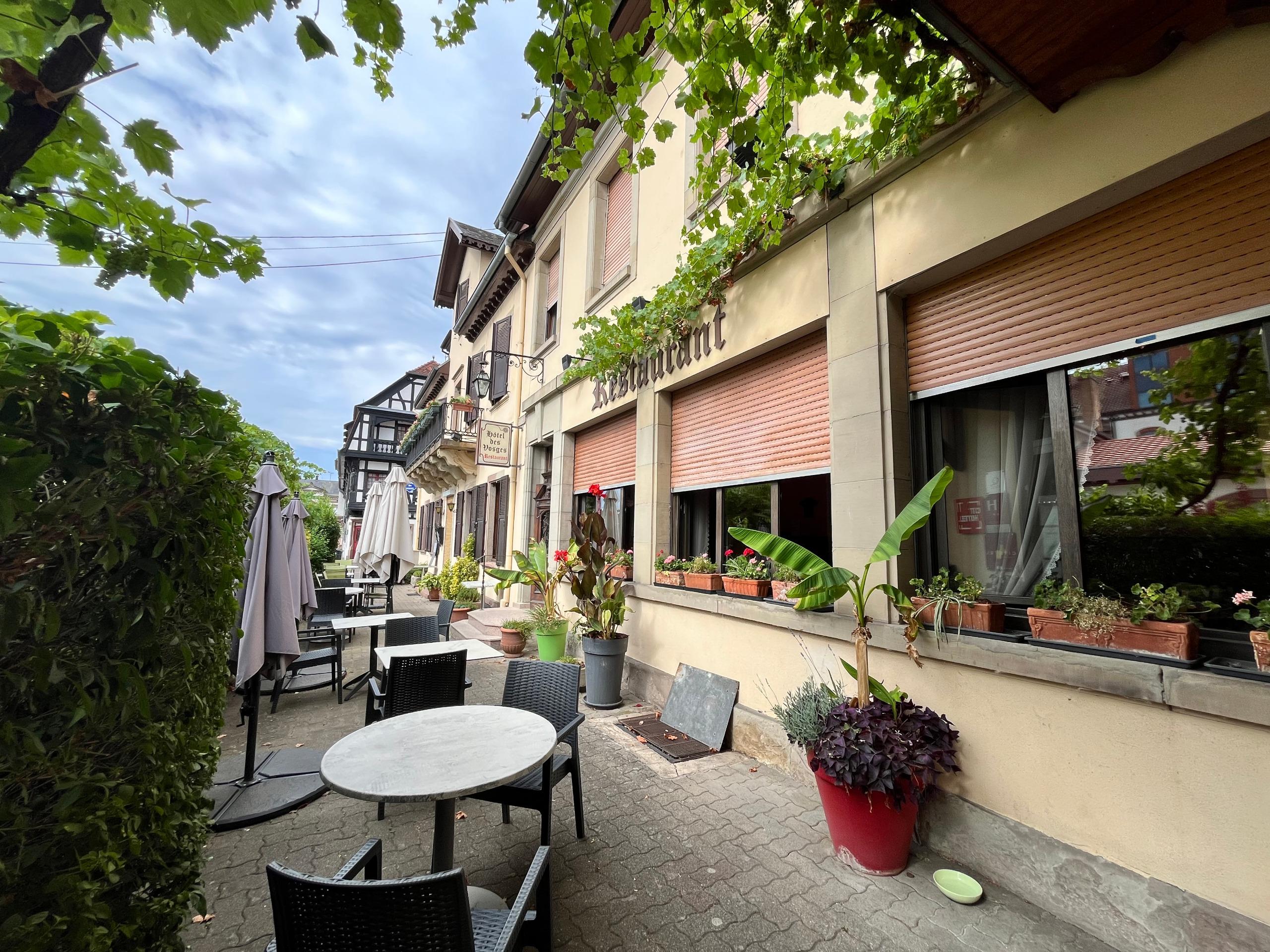 Cit\'Hotel des Vosges