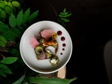 Logis Hôtel les Glycines