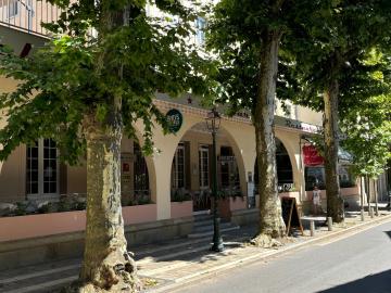 Logis Hôtel Grand Hôtel de Lyon