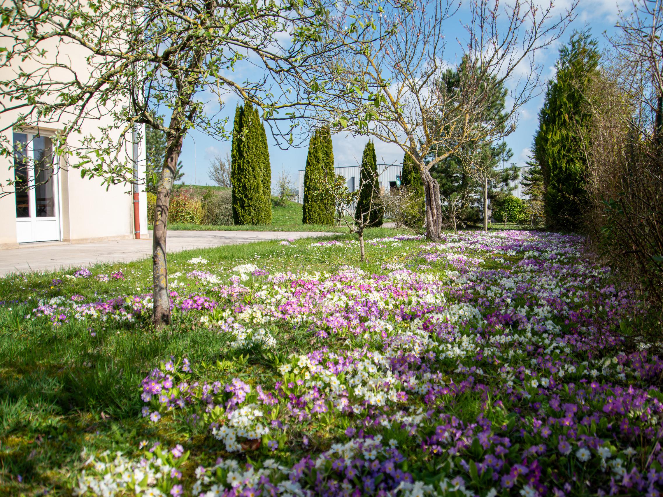 Logis Hôtel des Sources