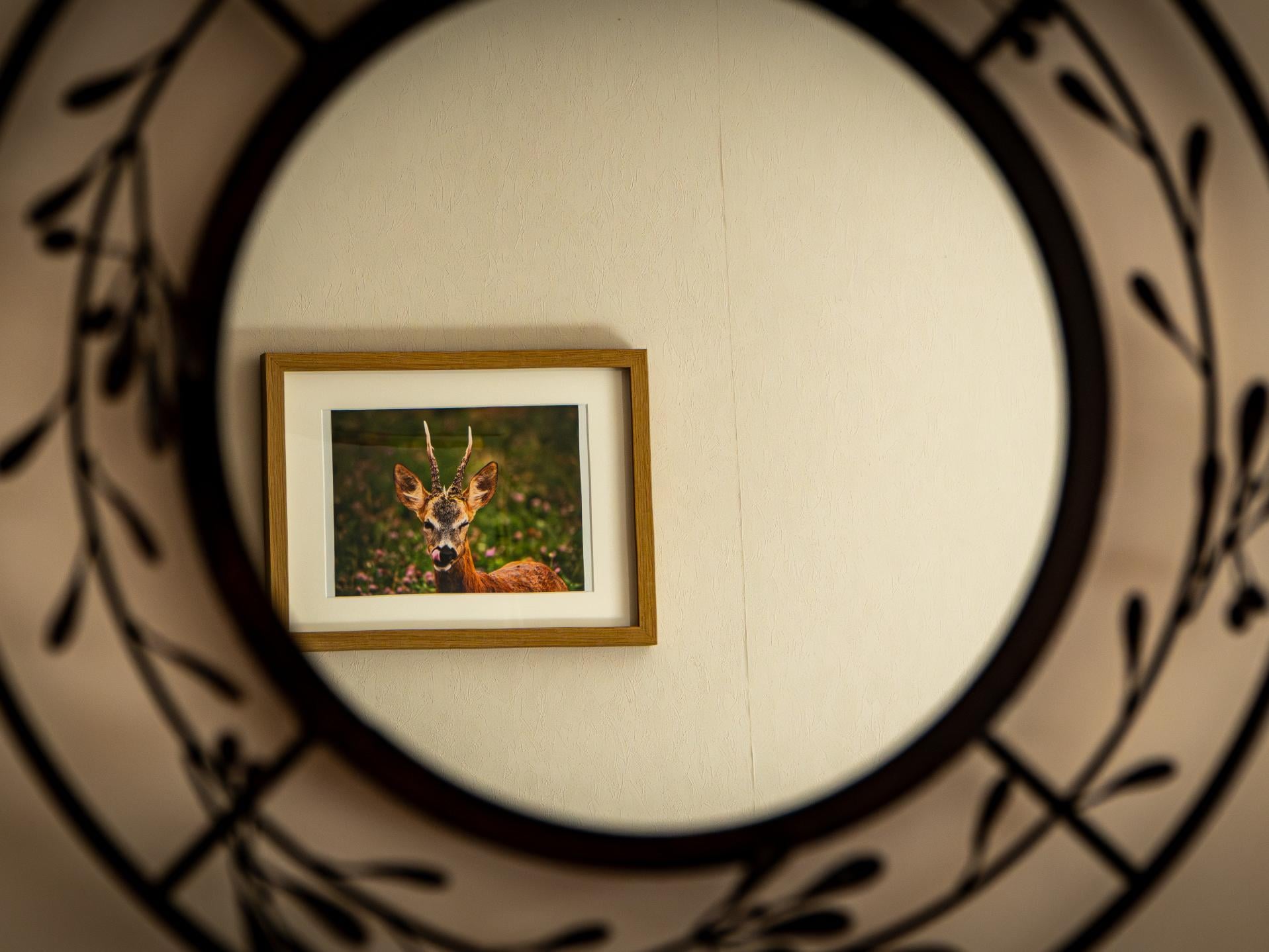 Logis Hôtel l\'Orée des Charmes