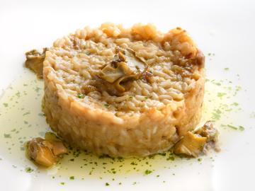 Logis Hôtel Iribarnia