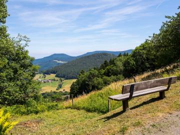 Logis Hôtel le Bouton d'Or