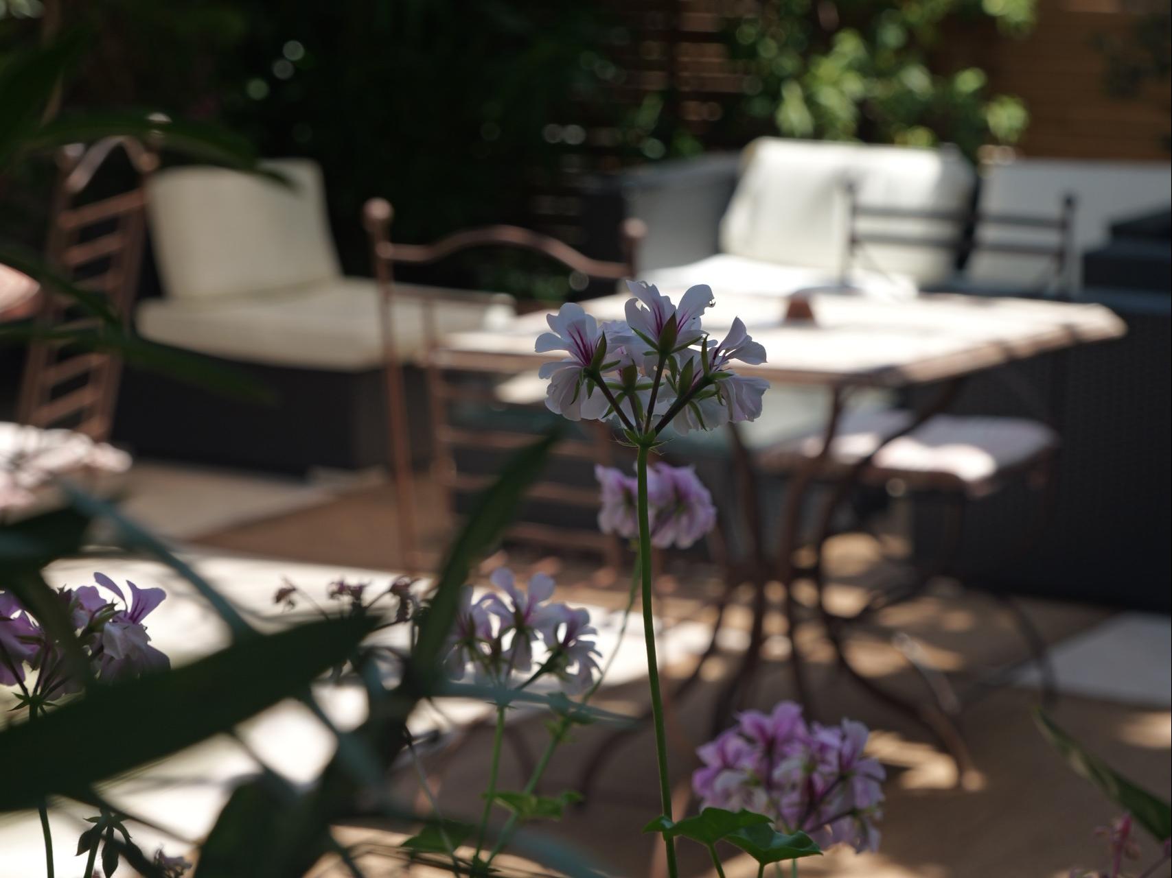 Logis Hôtel Villa Victorine