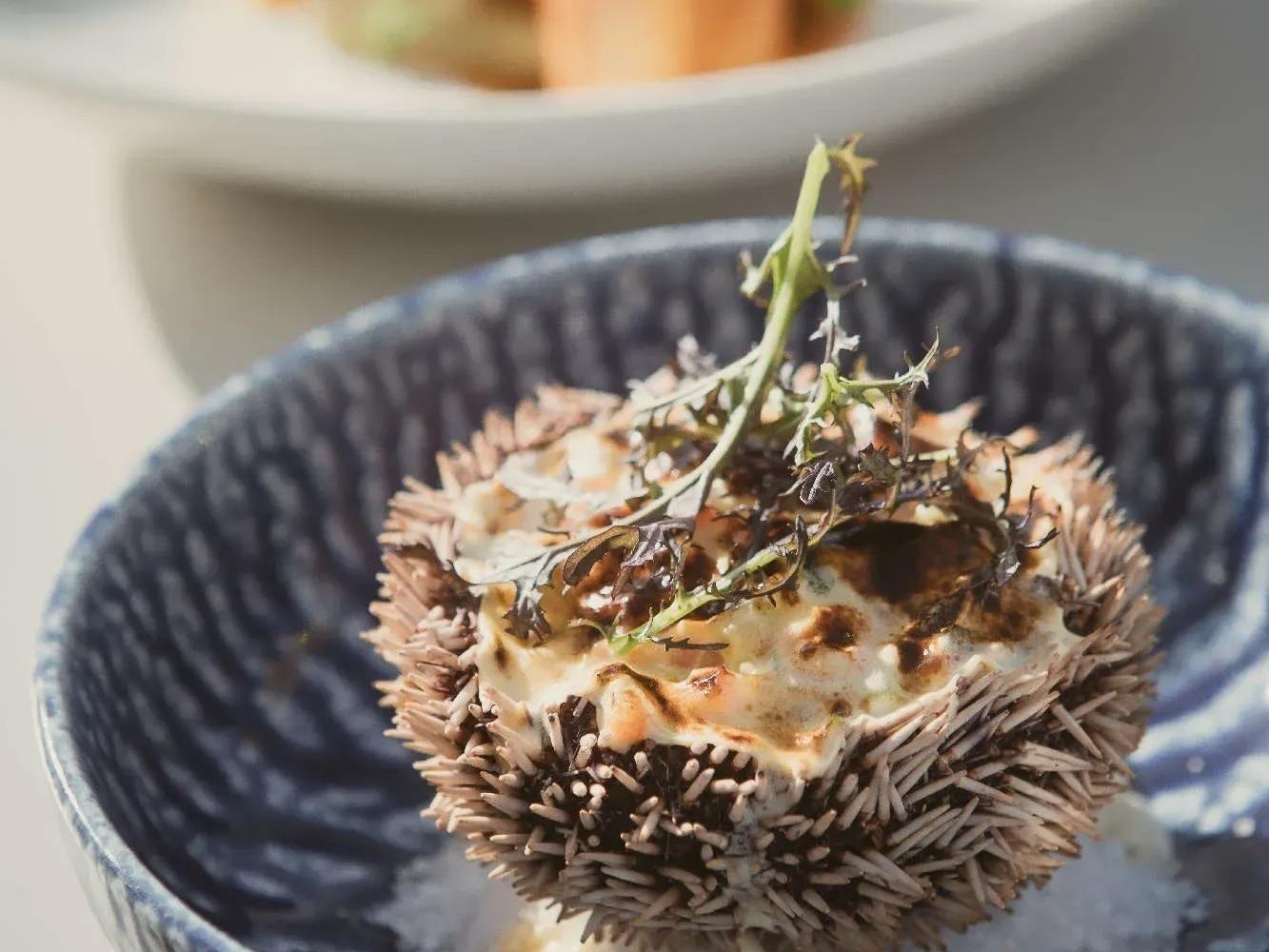 Teritoria Hôtel la Plage