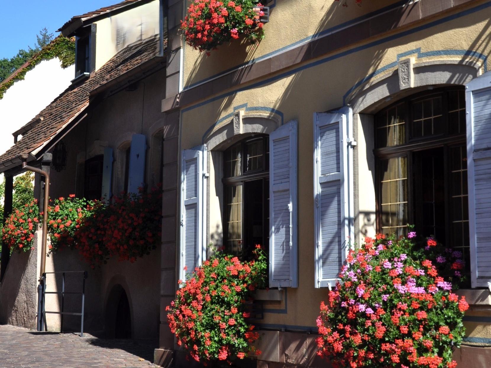 Logis Hôtel à l\'Ami Fritz