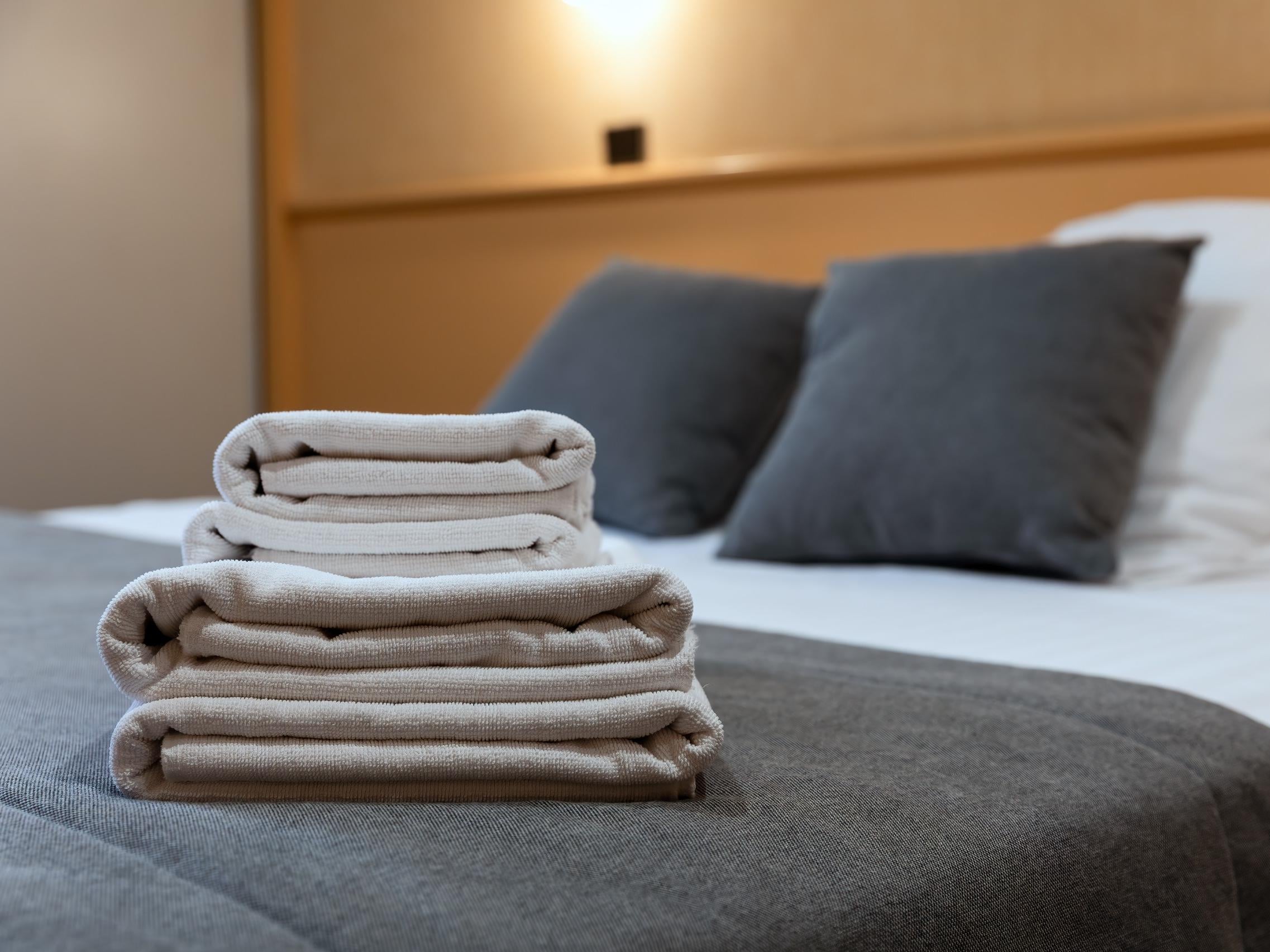 Logis Hôtel du Fer à Cheval