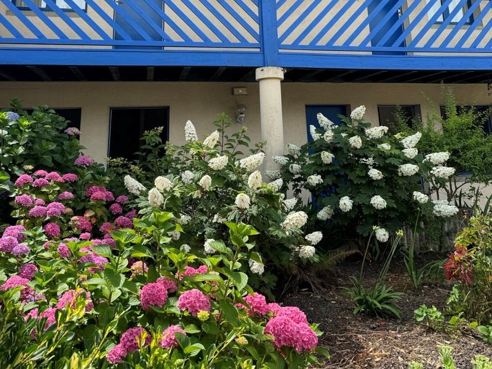 Cit\'Hotel le Capricorne