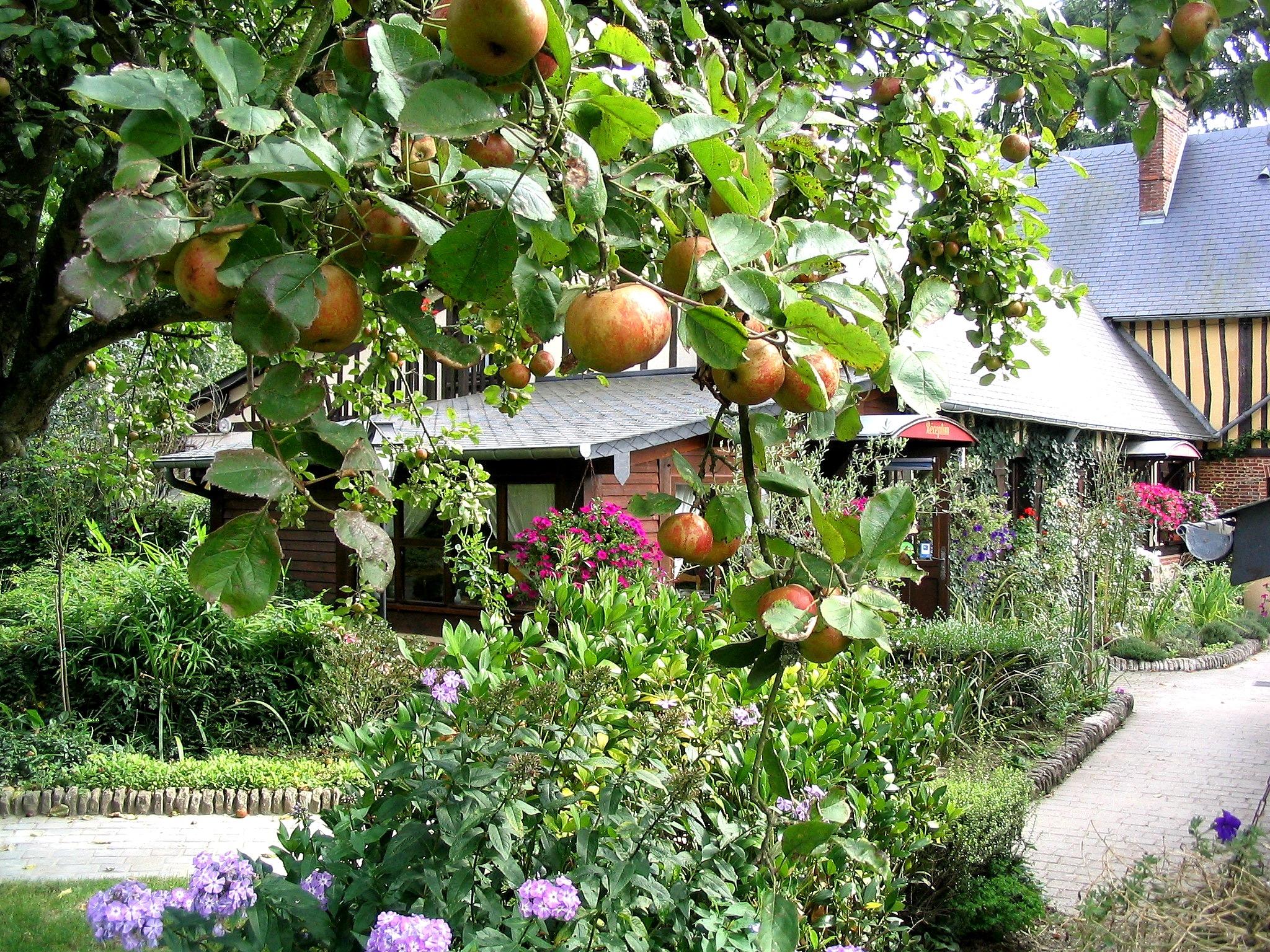 Logis Auberge du Val au Cesne - CROIX MARE - Normandia