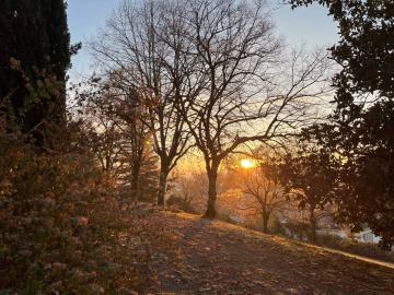 Teritoria Château de Lacan