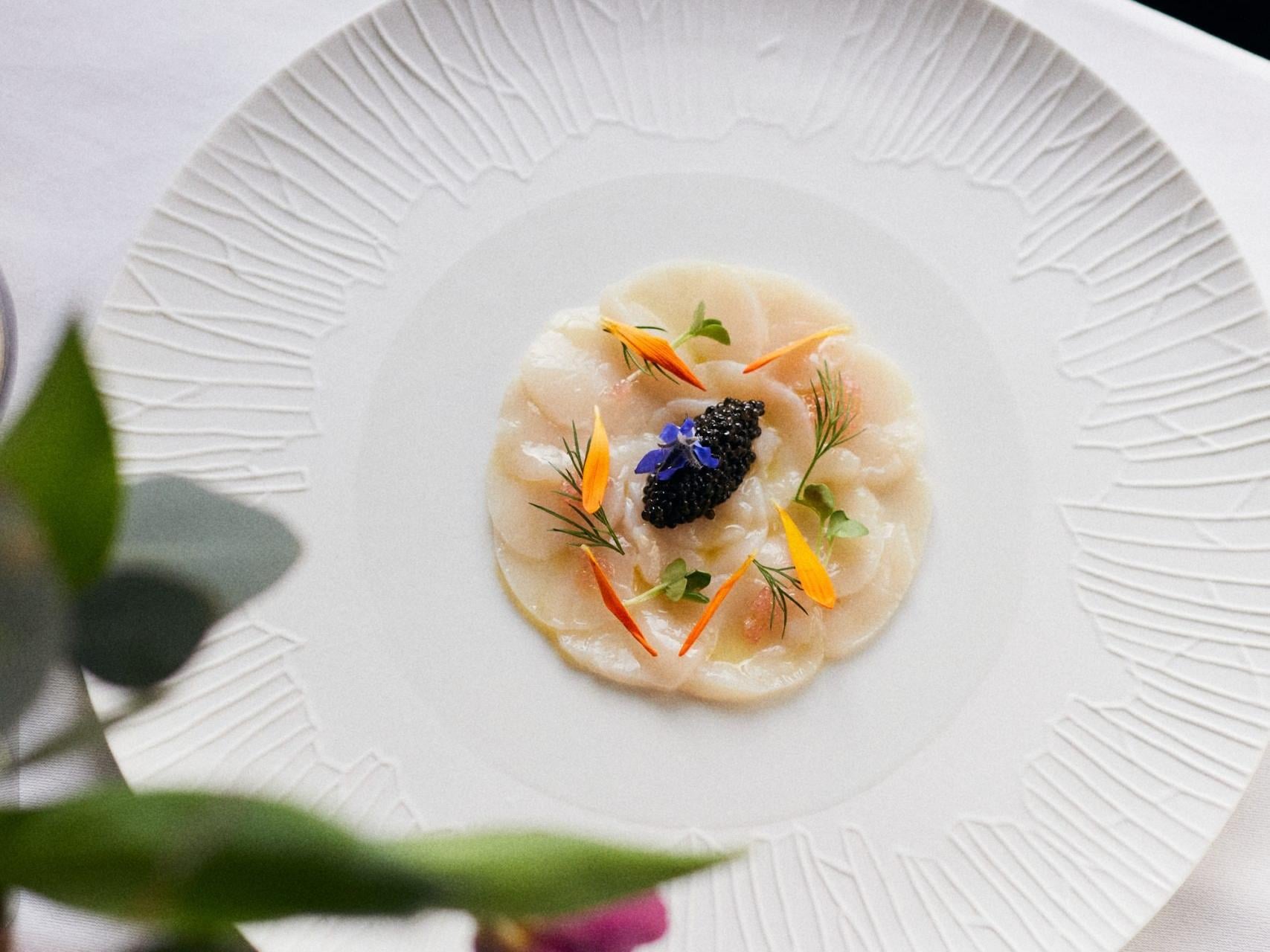 Teritoria Hôtel-Restaurant Bel Ami