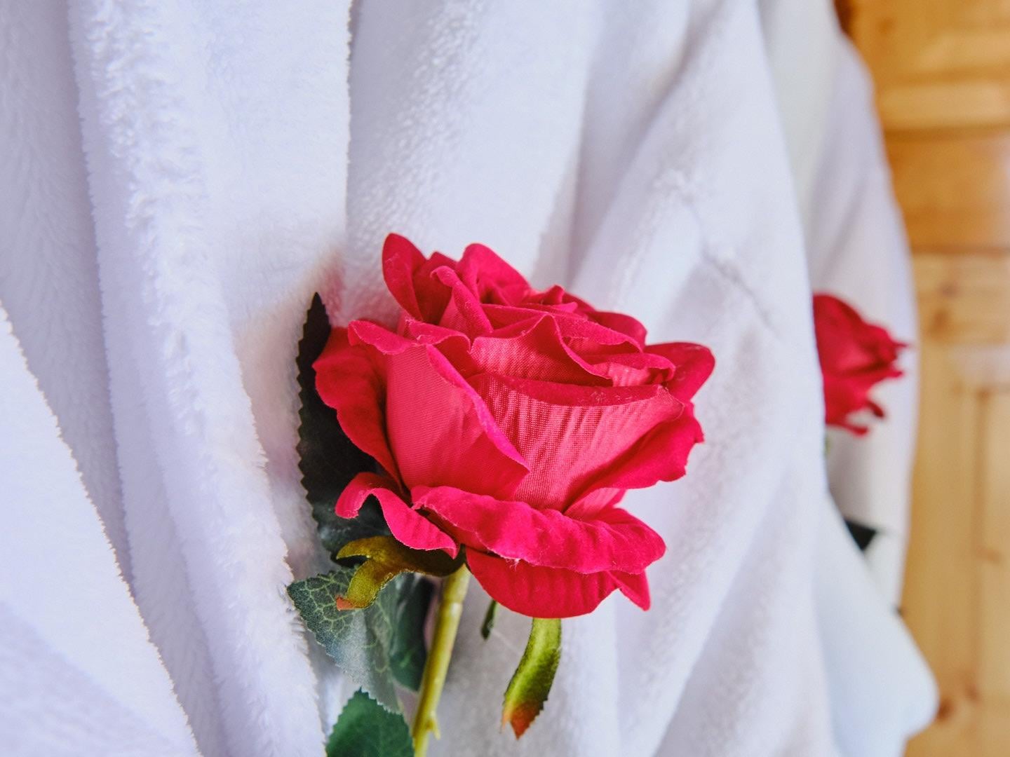 Logis Hôtel Escale Cocooning