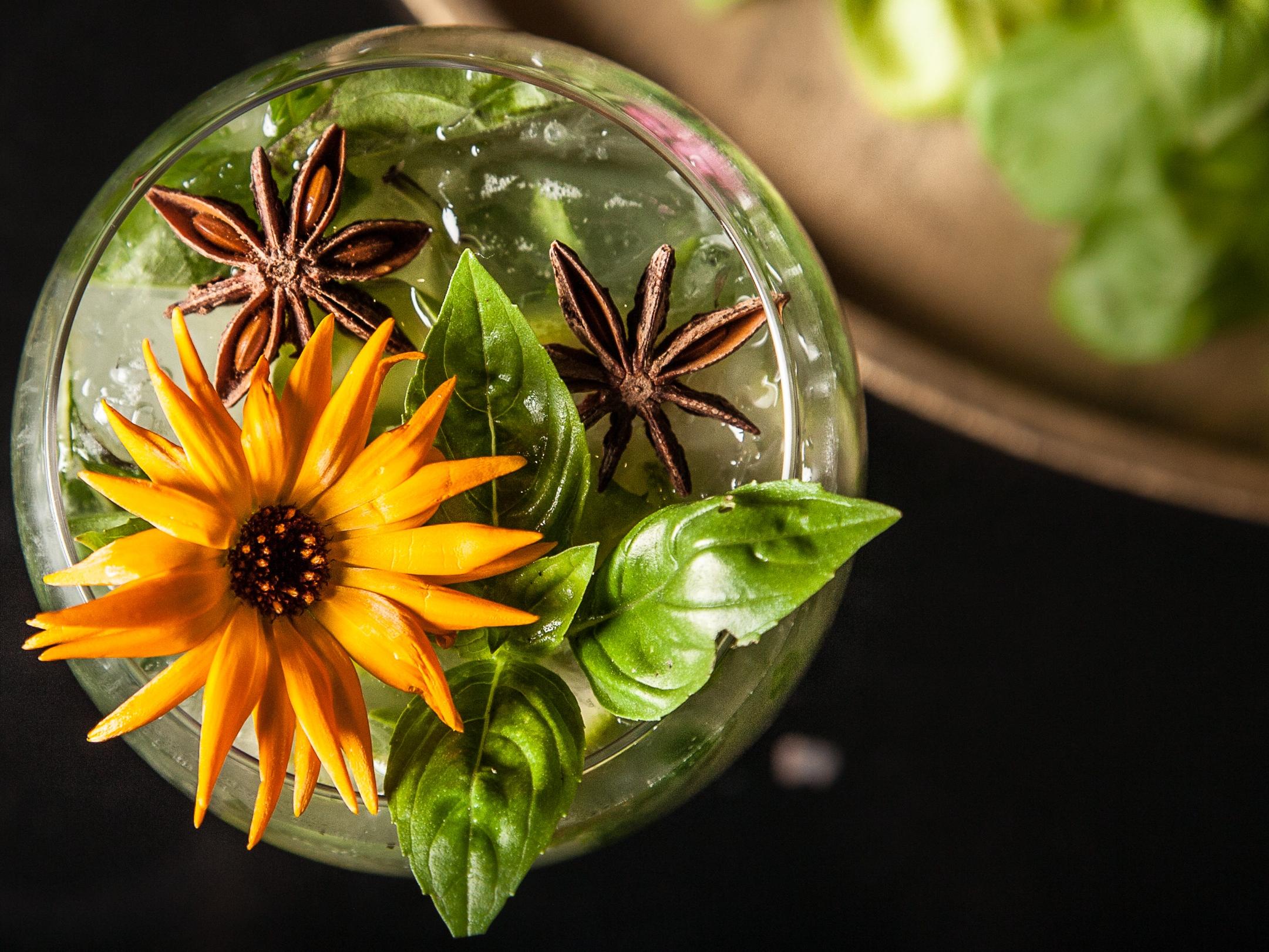 Teritoria Hôtel le Lion D\'Or