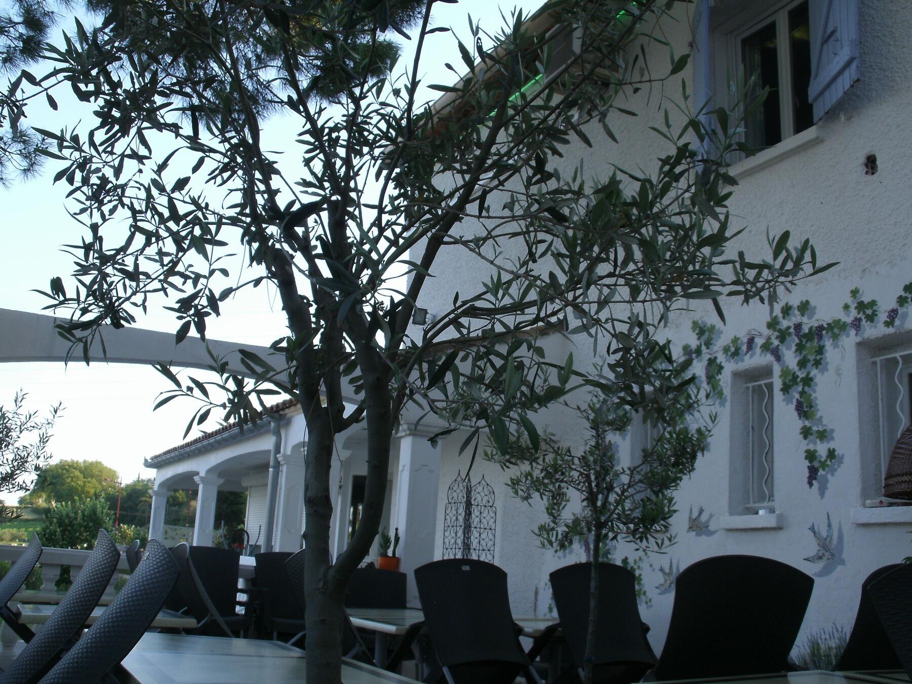 Le Sarac Hôtel & Business