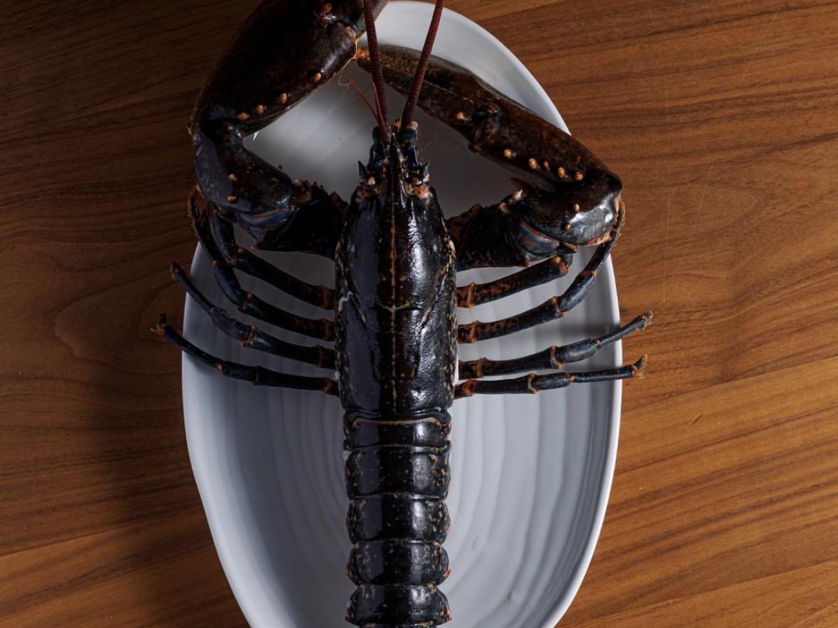 Logis Hôtel les Mouettes