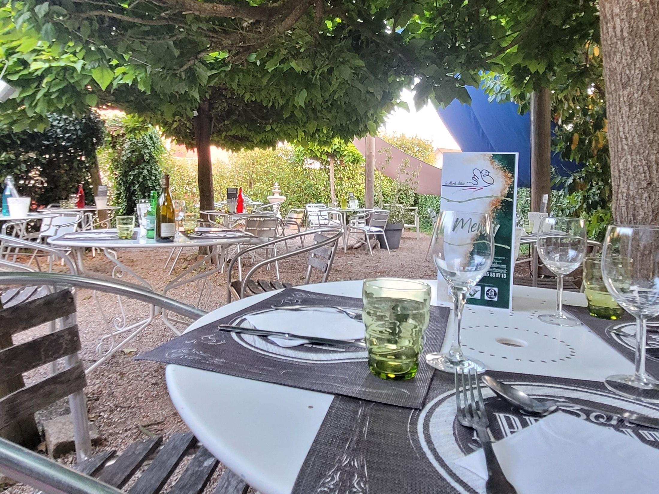 Logis Hôtel le Merle Blanc