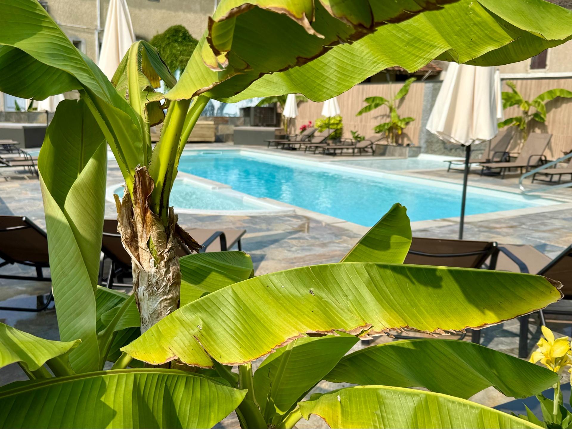 Logis Hôtel Bellevue