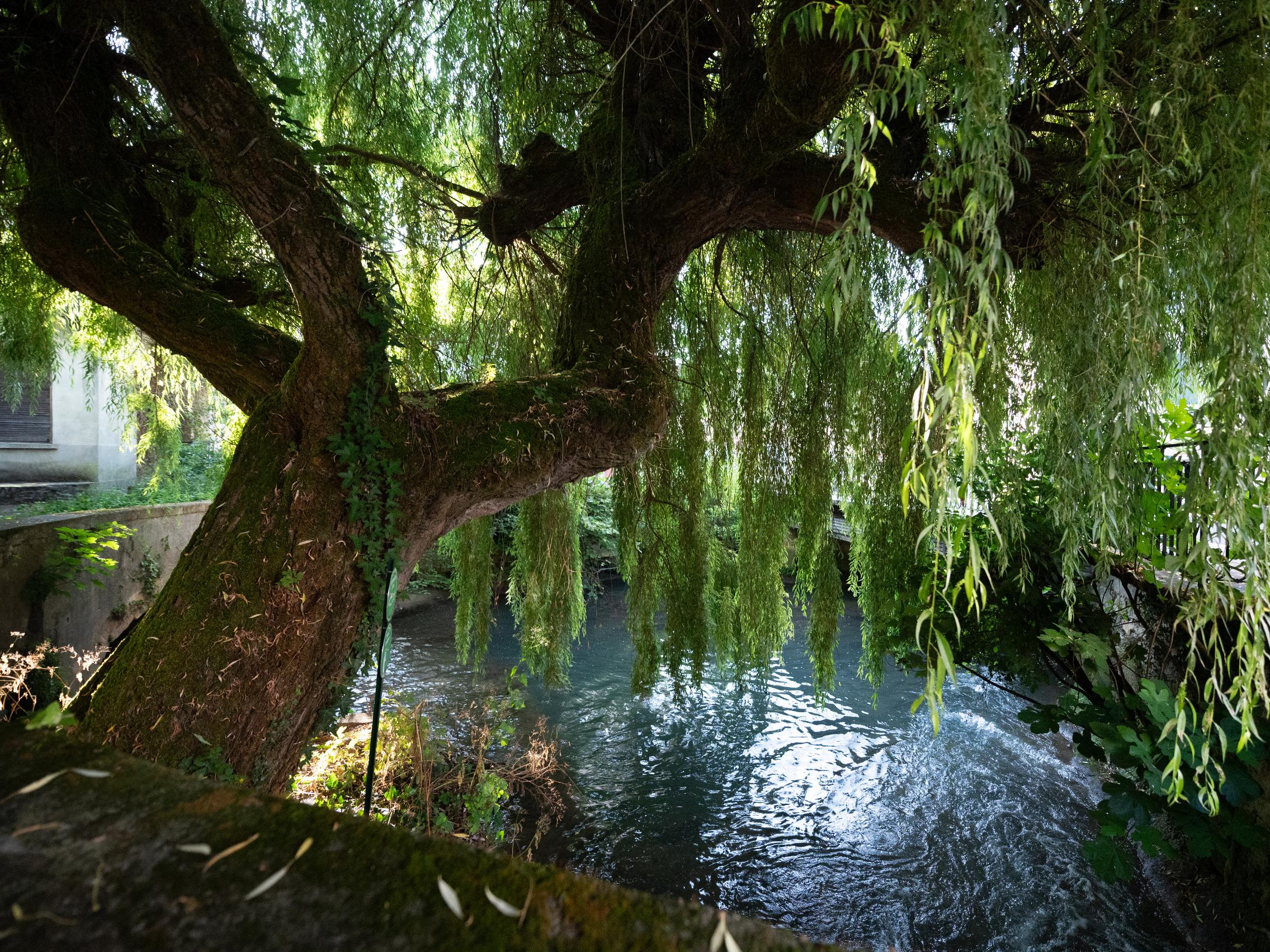Logis Hôtel la Vieille Auberge