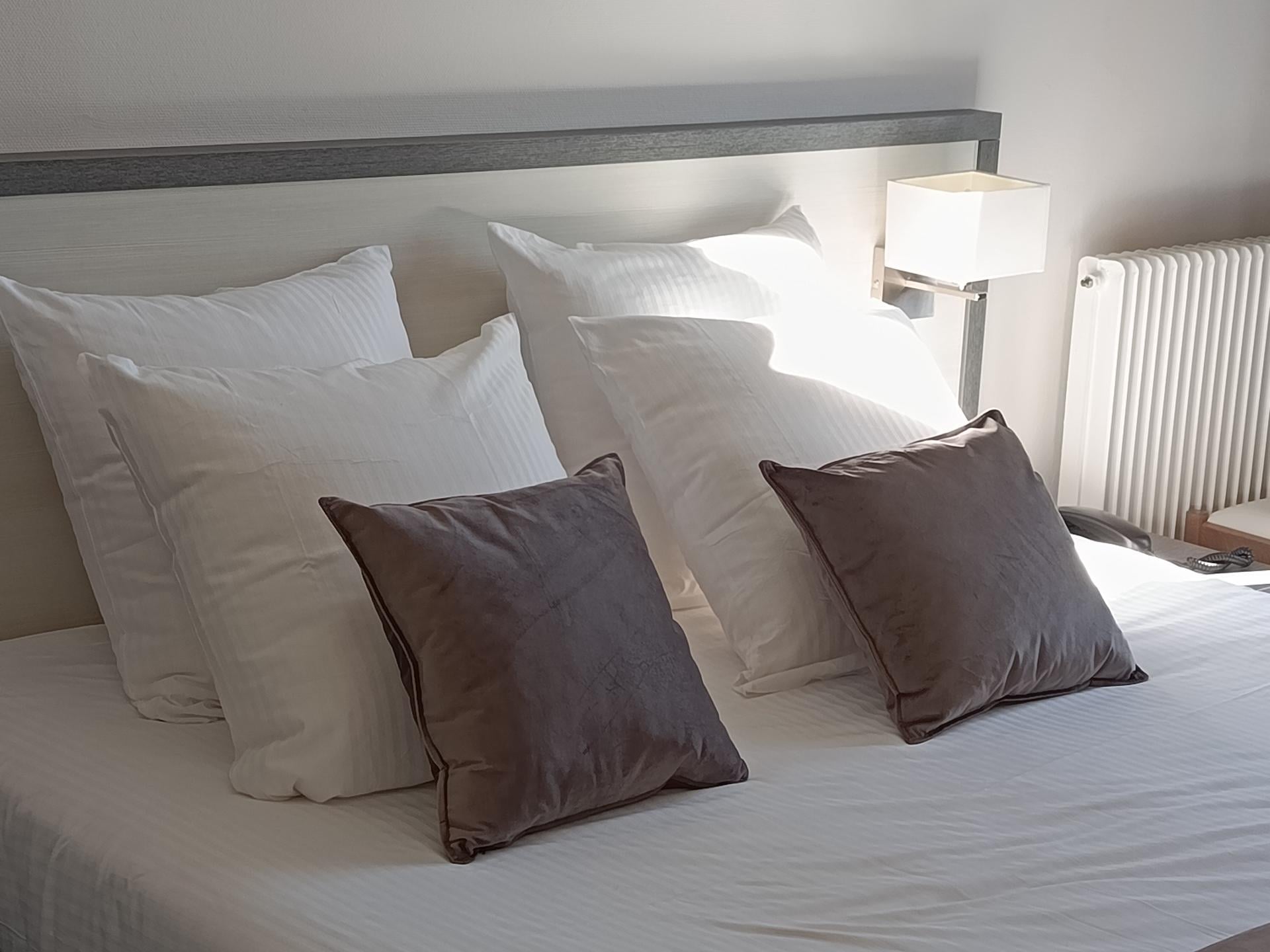 Logis Hôtel la Villa des Bordes