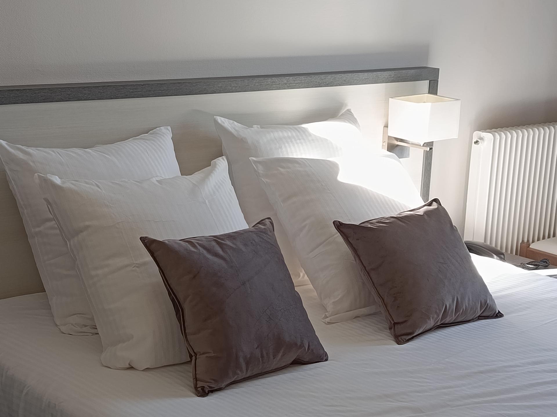 Logis Hôtel la Villa des Bordes