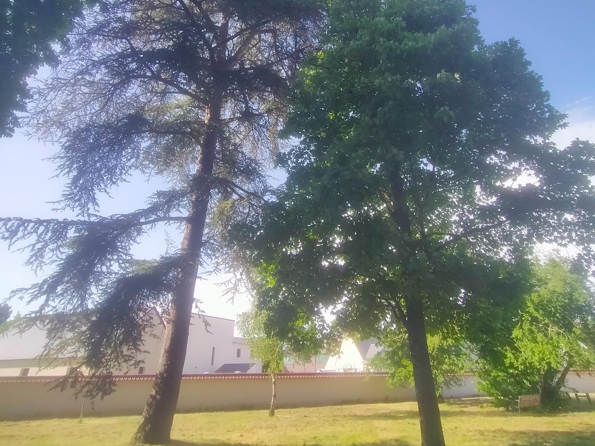 Logis Hôtel la Villa des Bordes