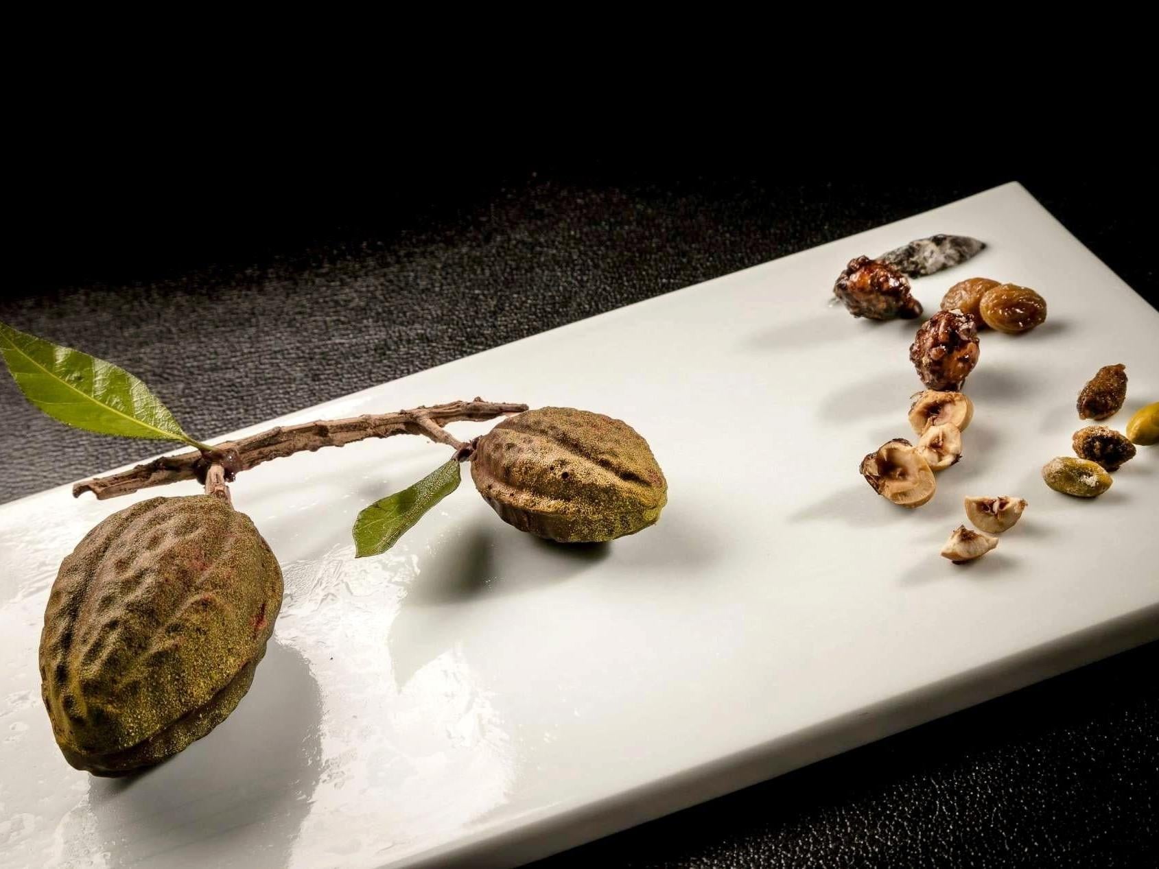 Auberge du Vieux Puits, Singuliers Hôtel