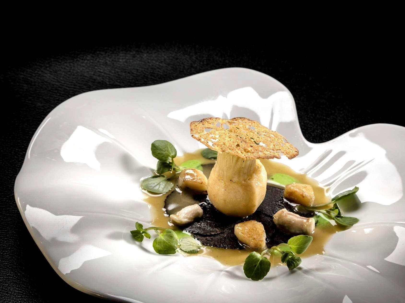 Auberge du Vieux Puits, Singuliers Hôtel