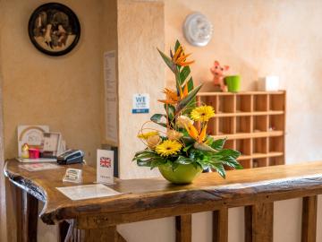 Logis Hôtel Auberge de la Plaine