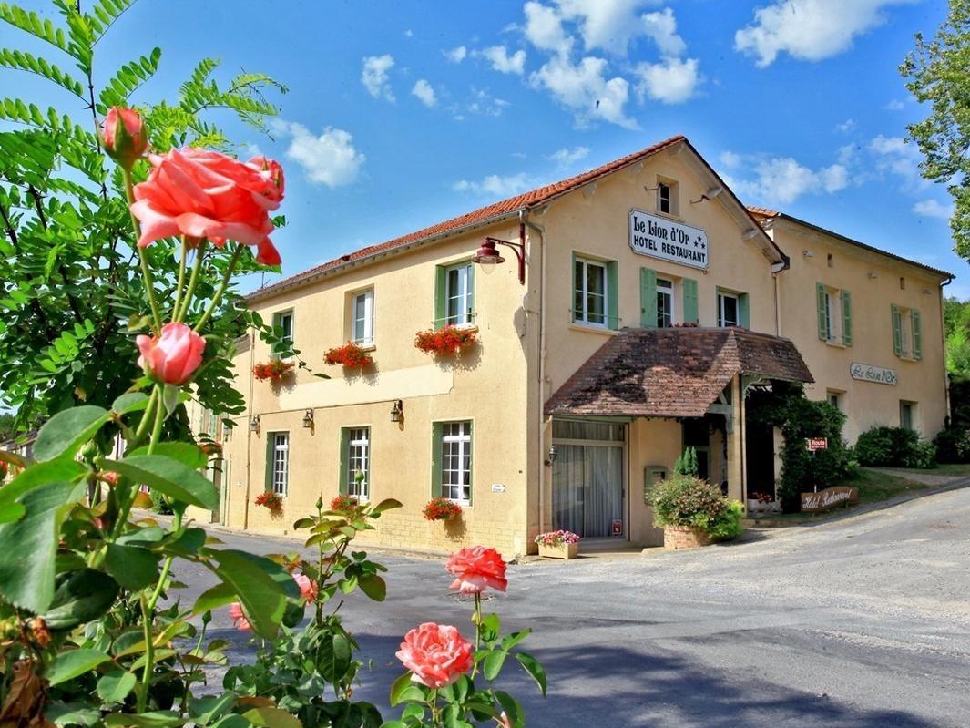 Logis Hôtel le Lion d\'Or