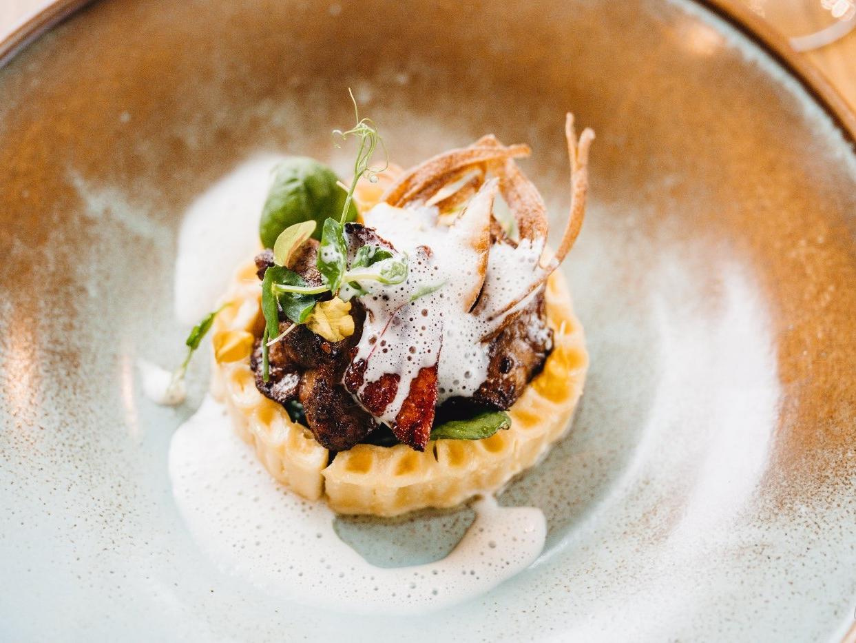 Teritoria Domaine de Barive - les Epicuriens