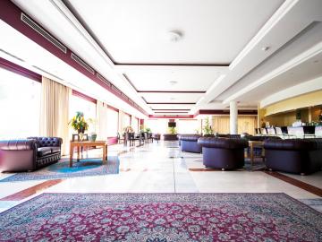 Swadeshi Hotel La Rondinaia in Eurocongressi Hotel