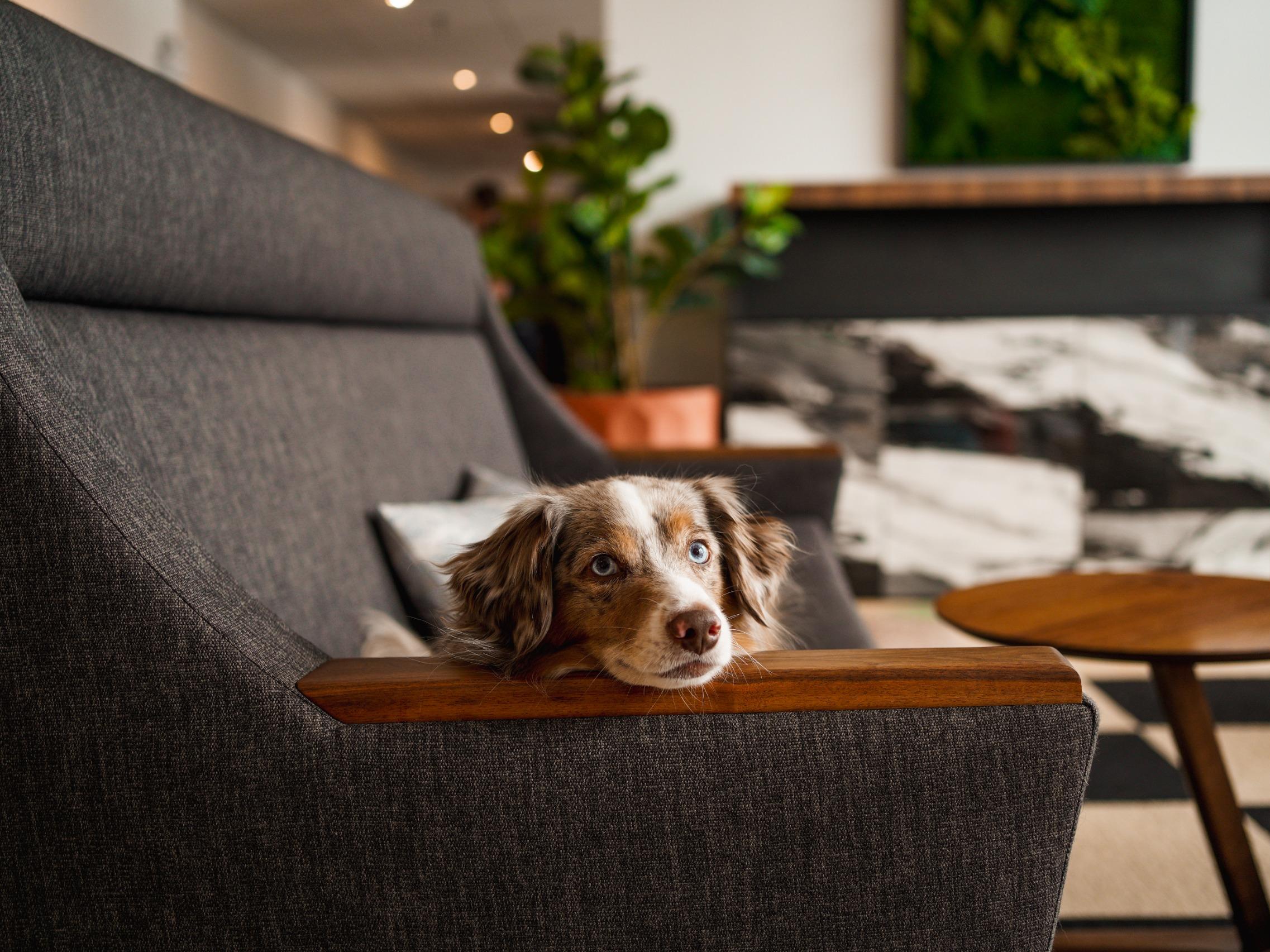 Ôrigine Hôtel Chicoutimi