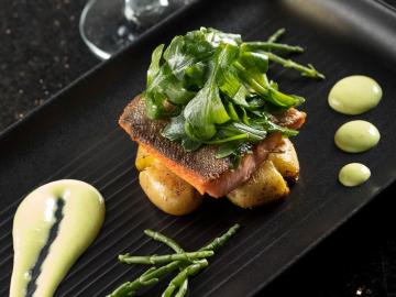 Ôrigine Hôtel Sépia