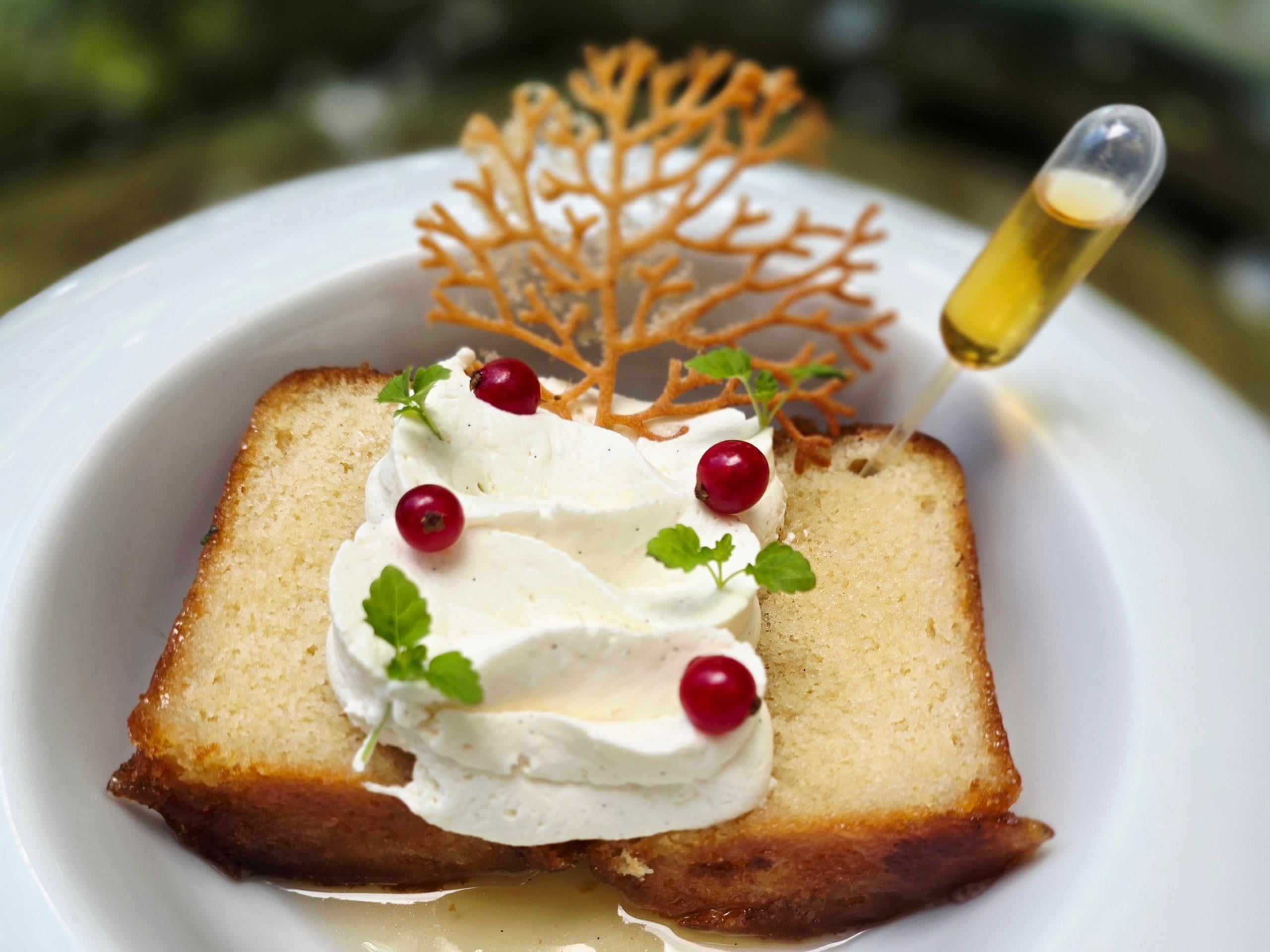 Logis Mas de Cure Bourse