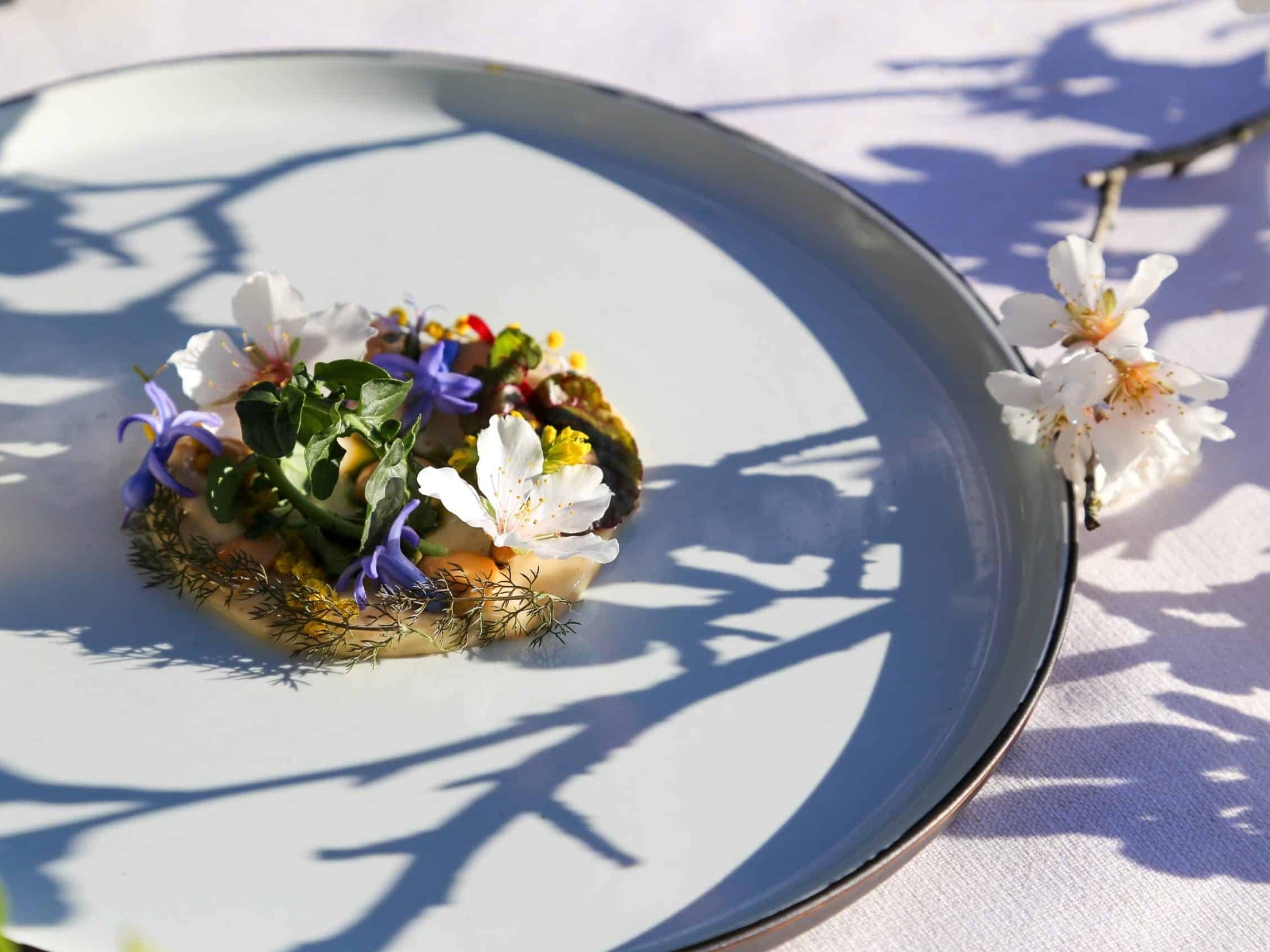 Teritoria la Fenière Lieu de Vie