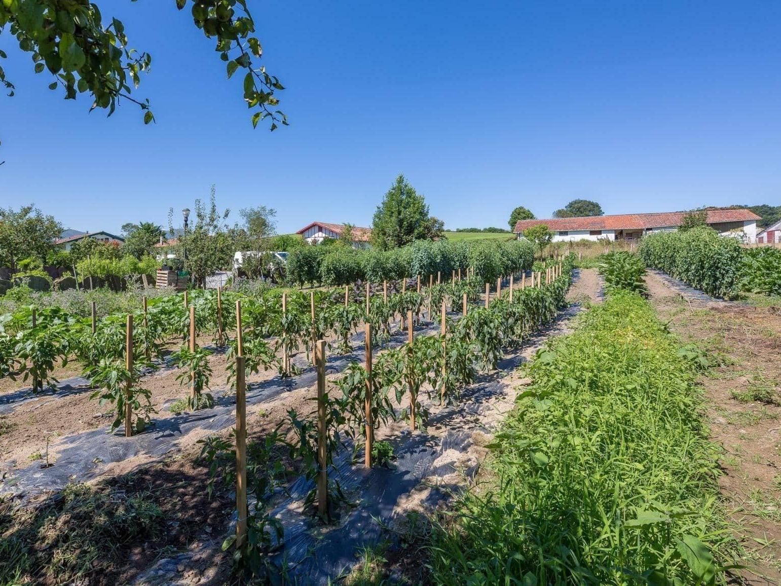 Teritoria Hôtel Ithurria