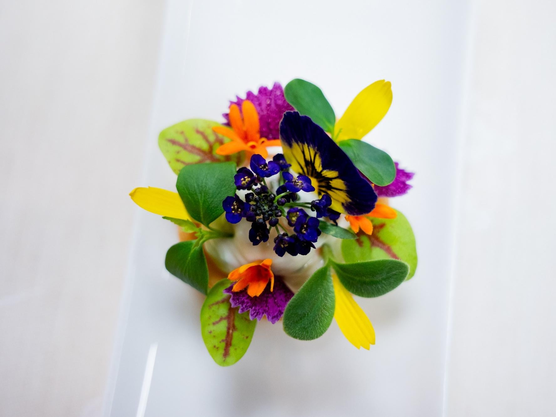 Hôtel Les Bas-Rupts, Singuliers Hôtel