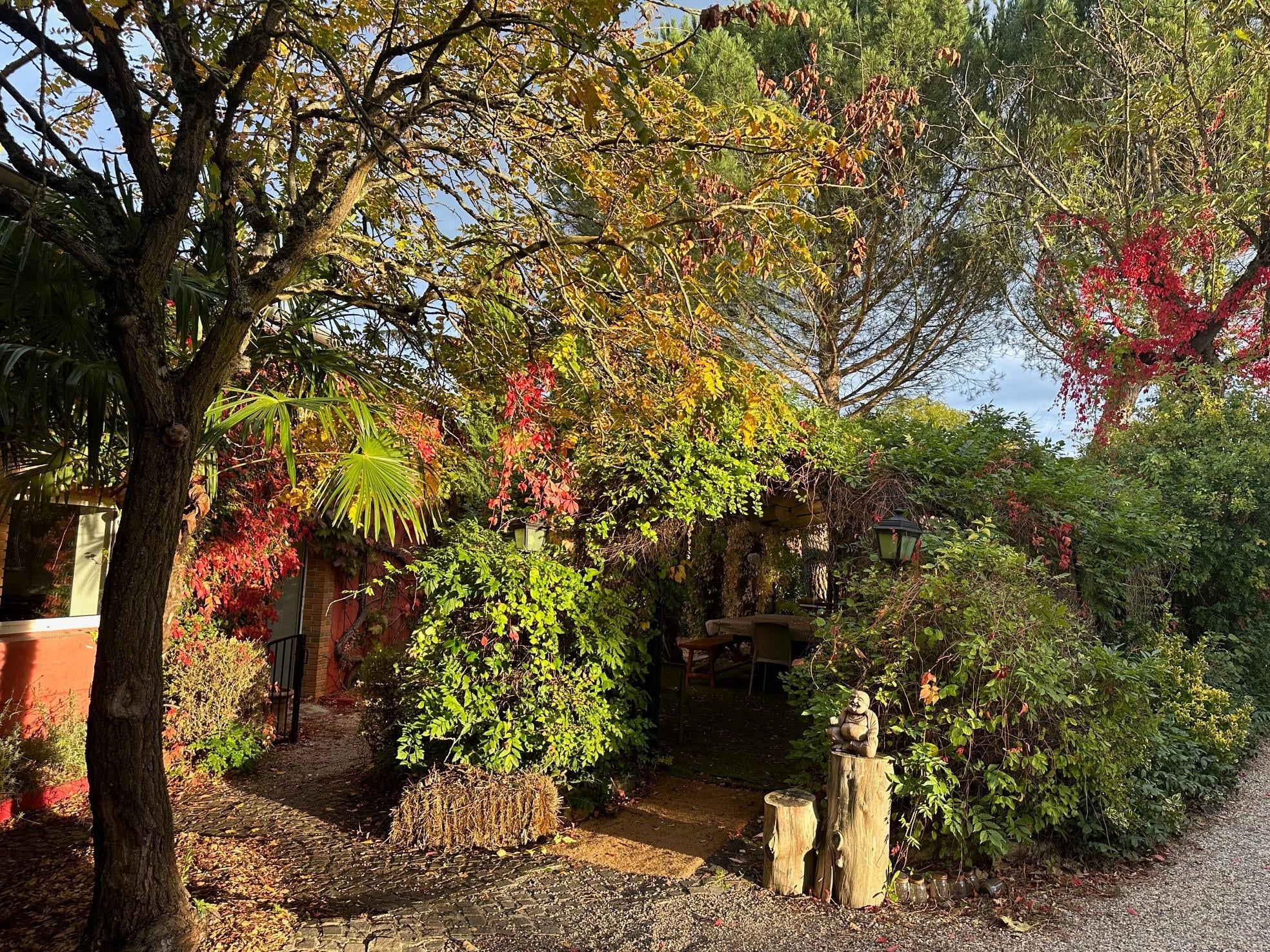 Logis Hôtel O\'Lodge