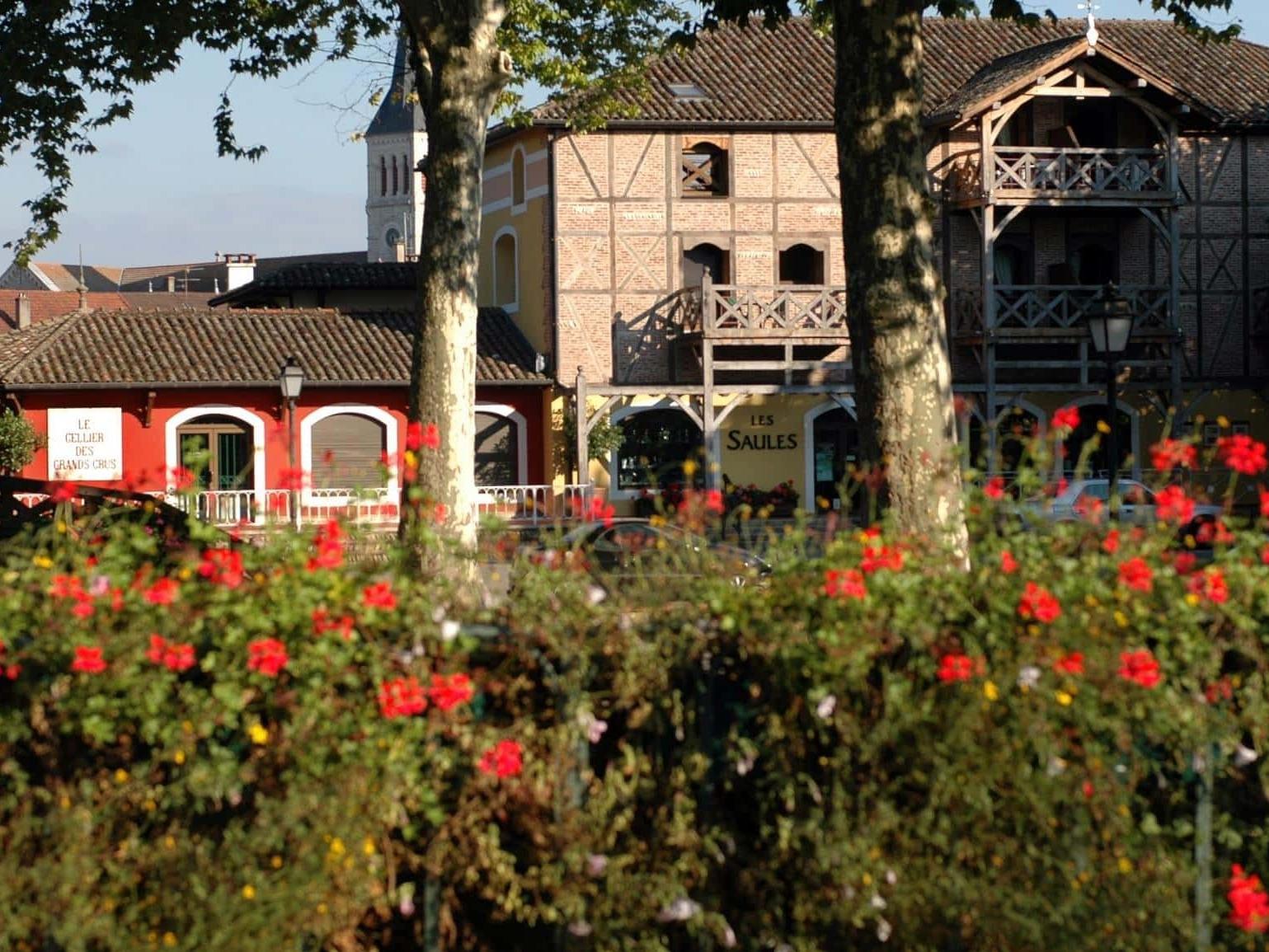 Teritoria Hôtel les Saules Parc & Spa