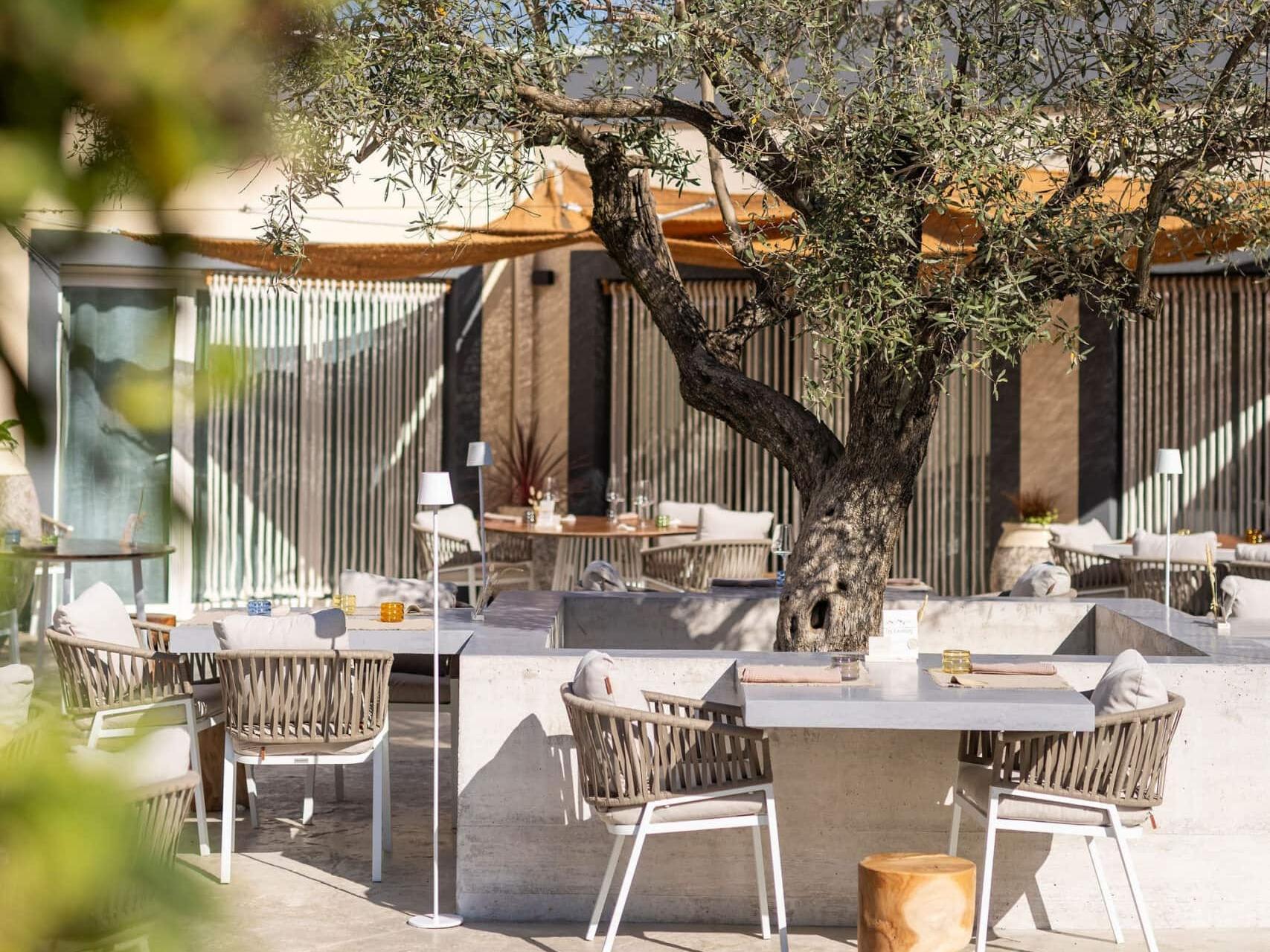 Teritoria Restaurant le Saint Hilaire