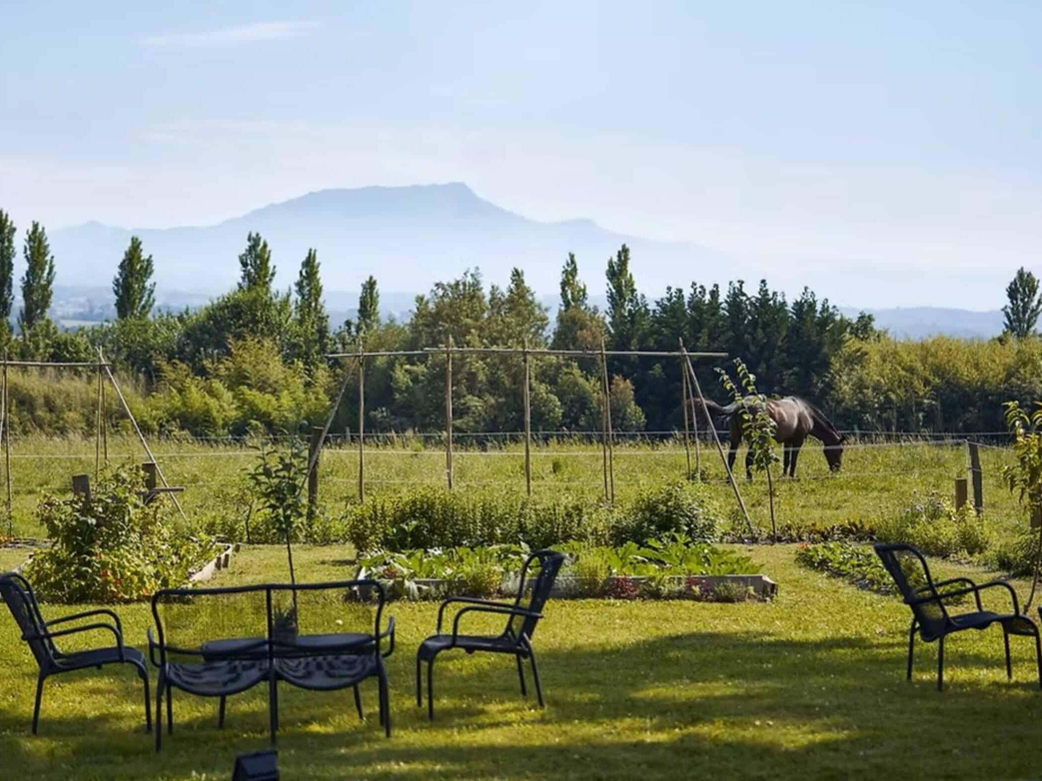 Teritoria Restaurant Auberge Marius Biarritz