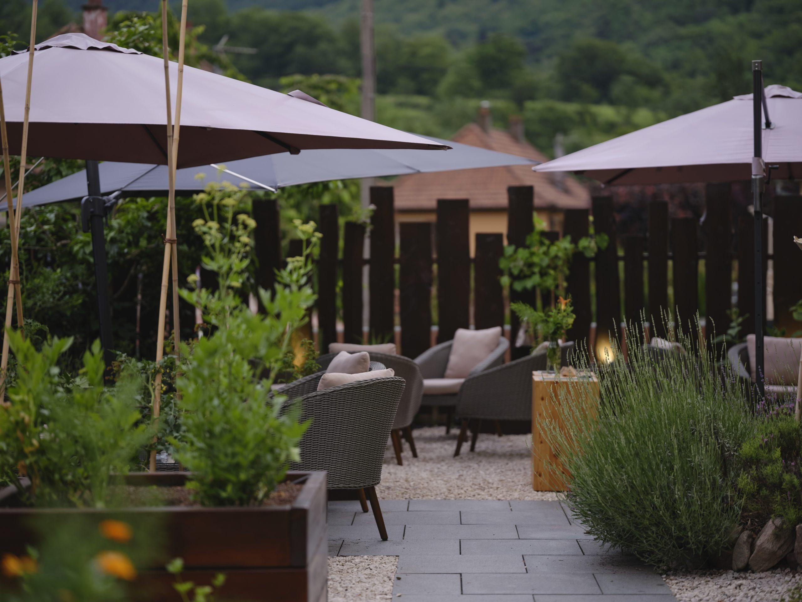 Teritoria Restaurant Alchémille